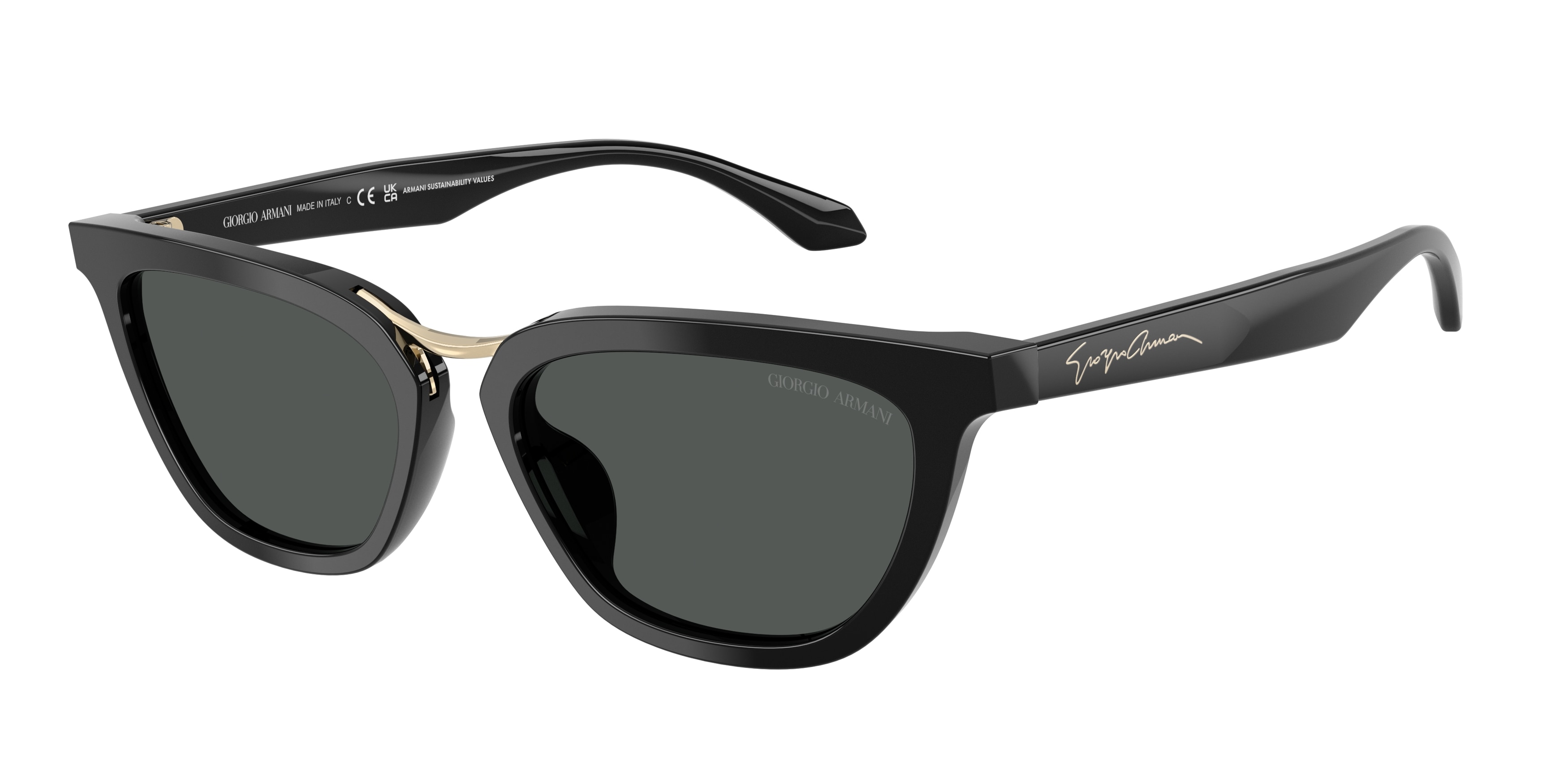Giorgio Armani AR8253U 501787  
